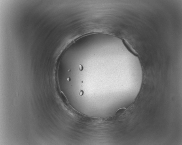 X0000063490098200602032002