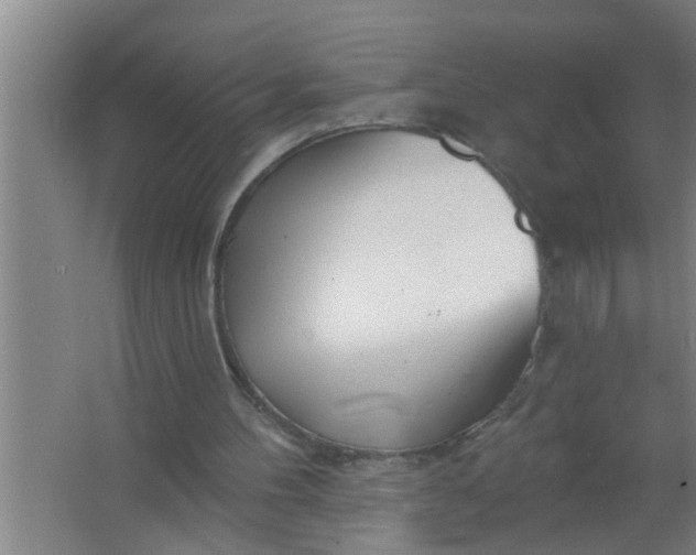 X0000063490100200602032002