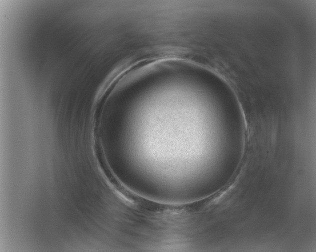 X0000063490101200602032002