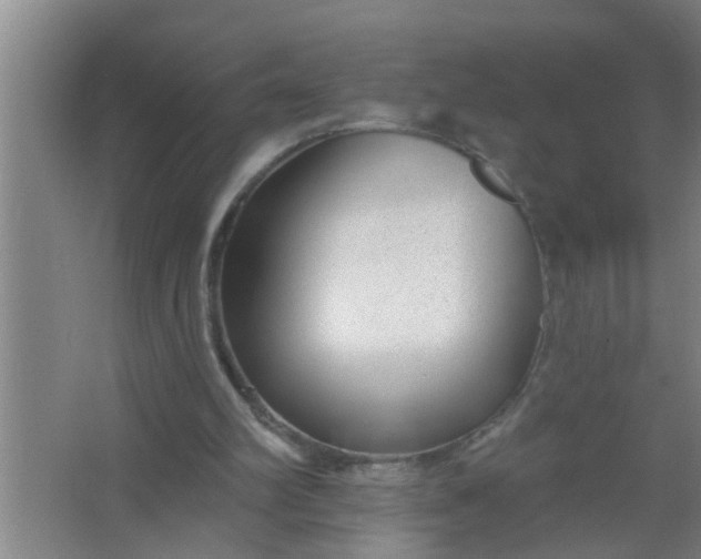 X0000063490102200602032002