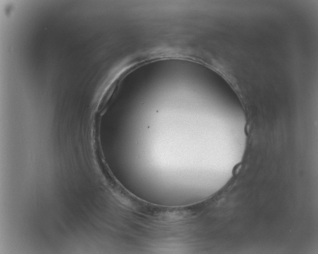 X0000063490103200602032002