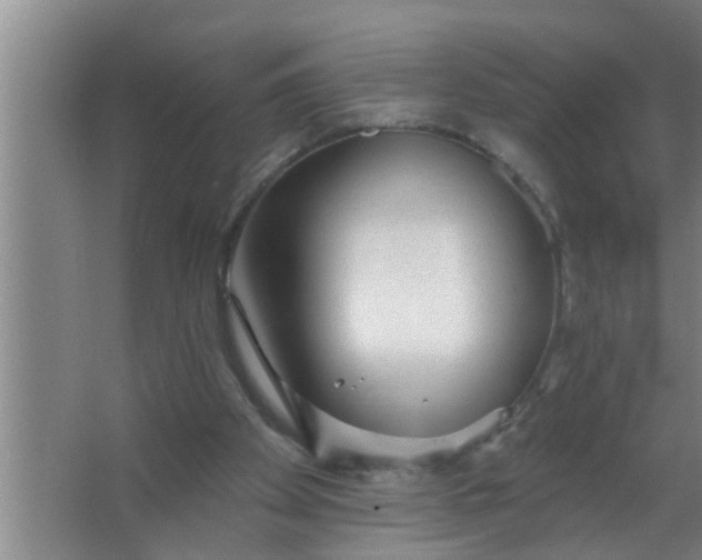 X0000063490105200602032002