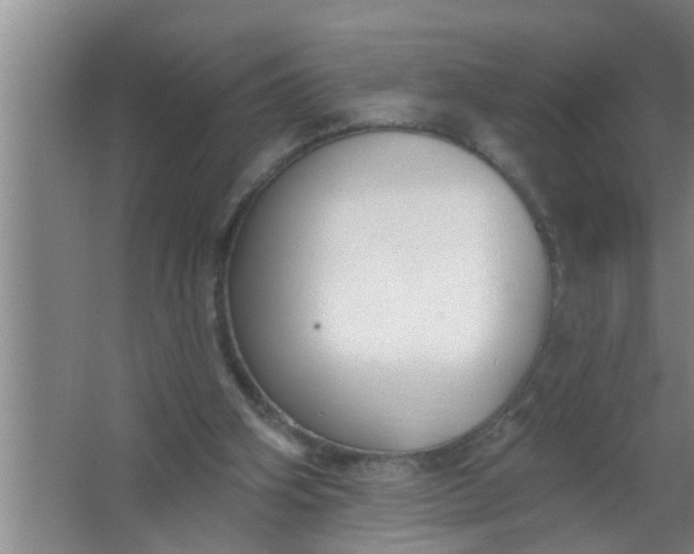 X0000063490106200602032002