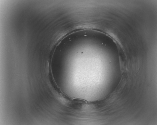 X0000063490109200602032002