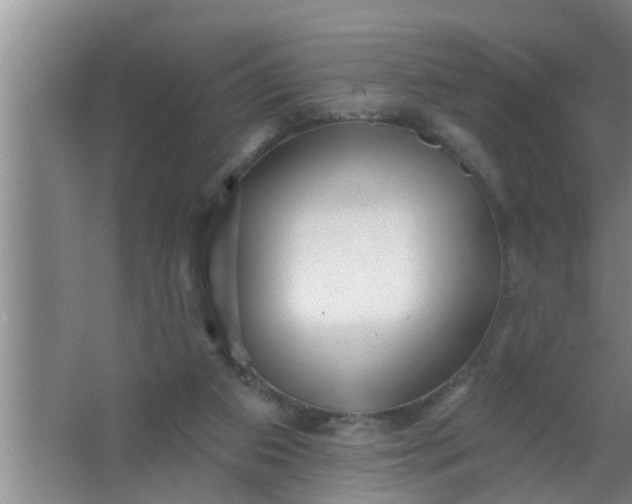 X0000063490113200602032002