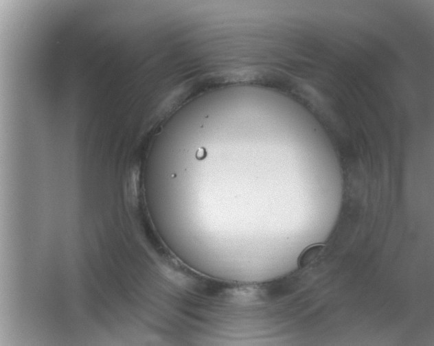 X0000063490118200602032001