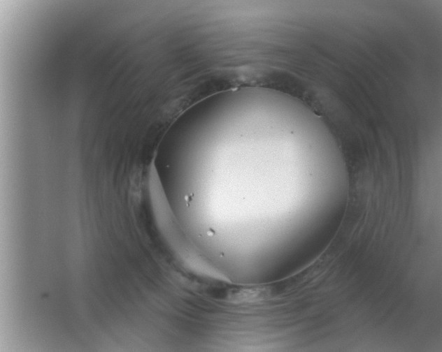 X0000063490129200602032001