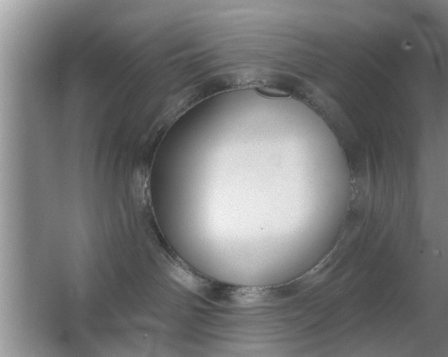 X0000063490142200602032001