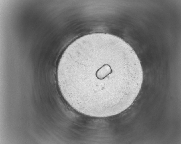 X0000063490146200602032000