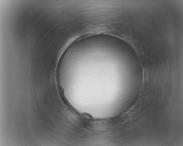 X0000063490147200602032000