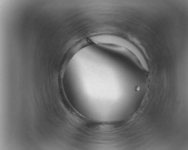 X0000063490154200602032000