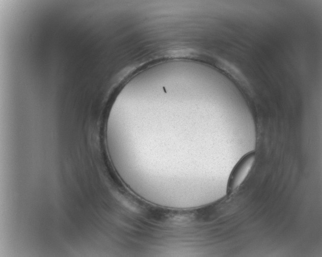 X0000063490155200602032000