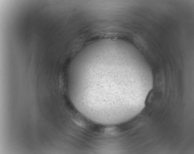 X0000063490173200602032001