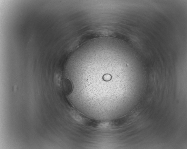 X0000063490177200602032001