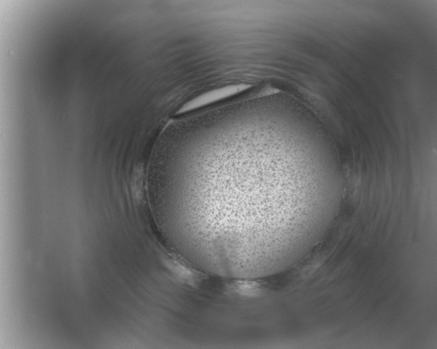 X0000063490189200602032001