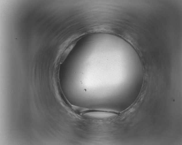 X0000063490193200602032000