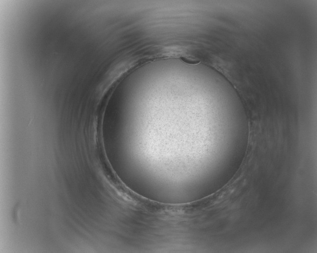 X0000063490194200602032000