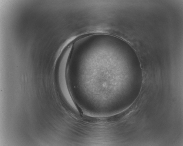 X0000063490200200602032000