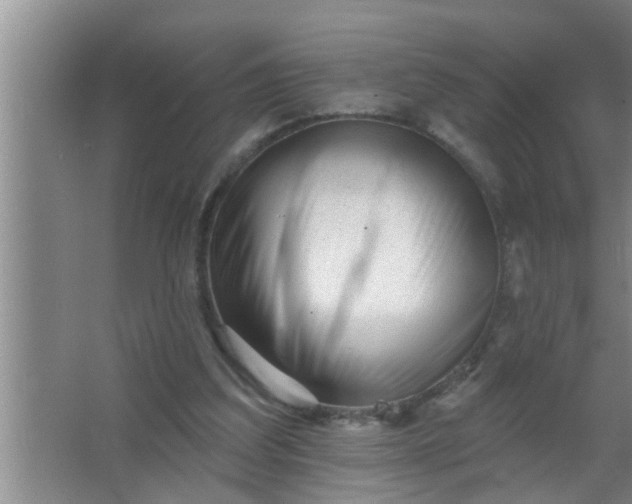 X0000063490203200602032000