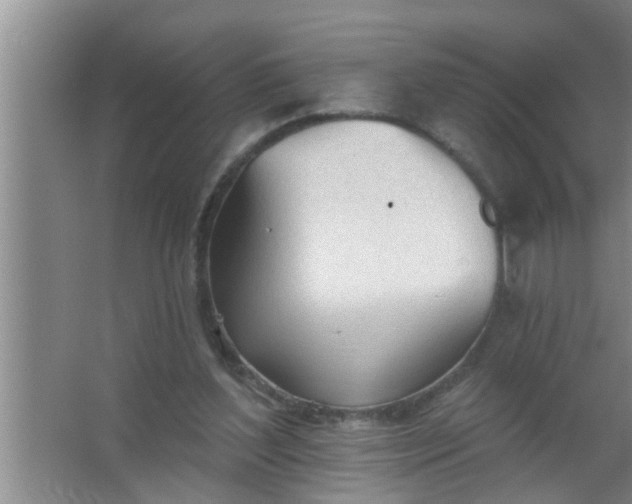 X0000063490204200602032000