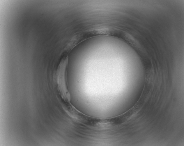 X0000063490213200602032000