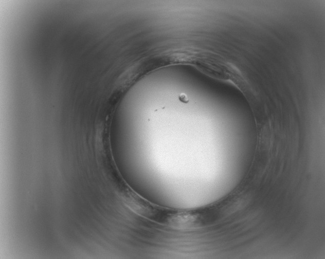 X0000063490217200602032000