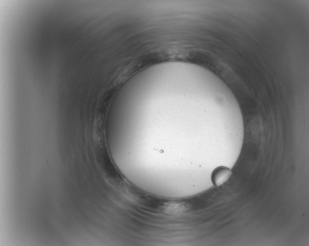 X0000063490218200602032000