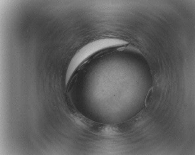 X0000063490223200602032000