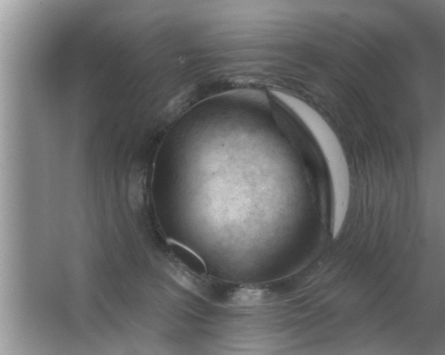 X0000063490227200602032000