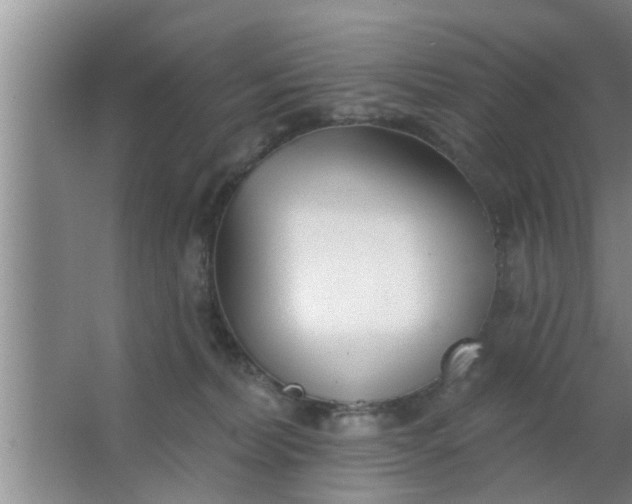 X0000063490228200602032000