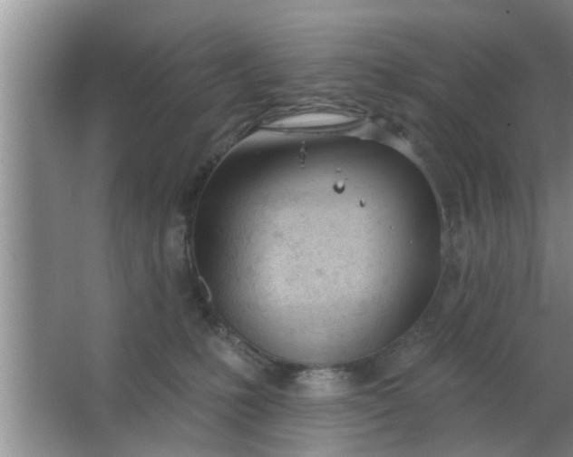 X0000063490231200602032000