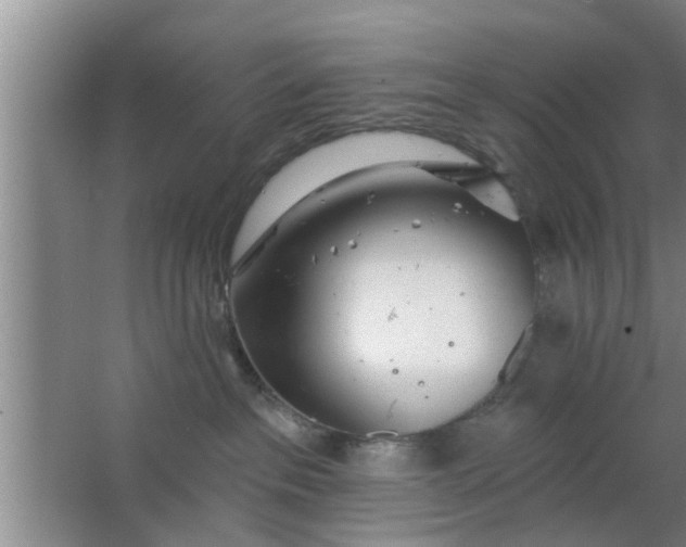 X0000063490237200602031959