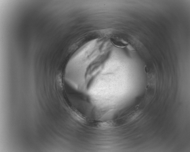 X0000063490238200602031959