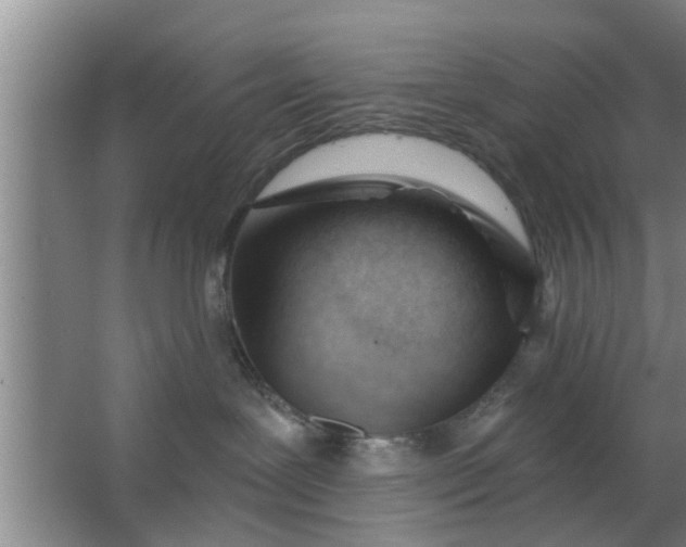 X0000063490239200602031959