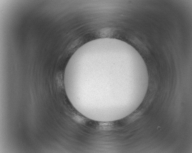 X0000063490240200602031959