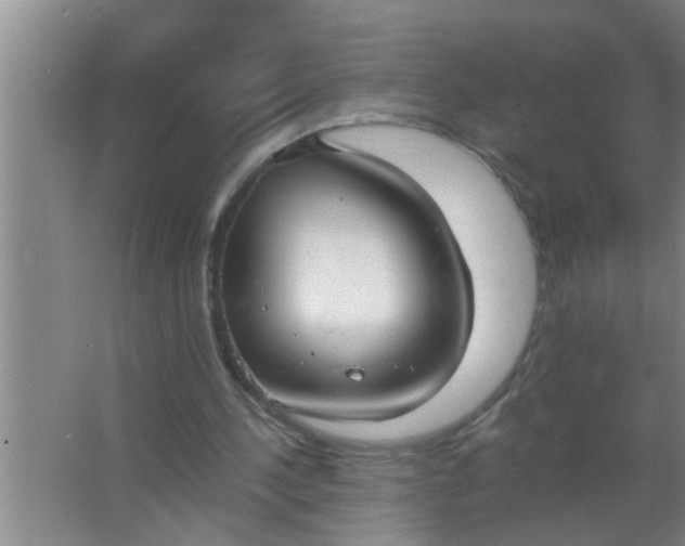 X0000063490244200602031959