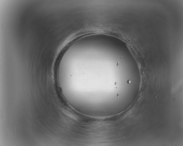 X0000063490246200602031959