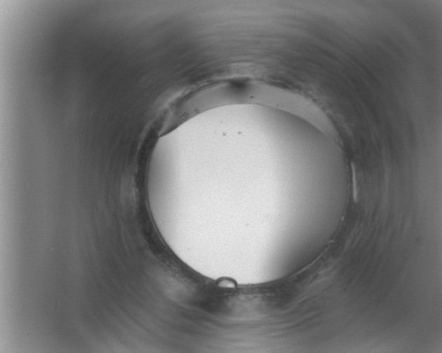 X0000063490252200602031959