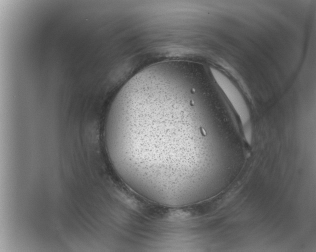 X0000063490257200602031959