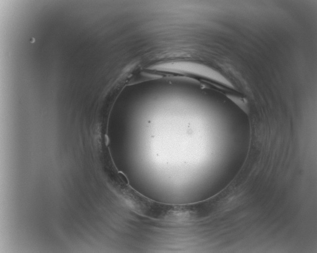 X0000063490260200602031959