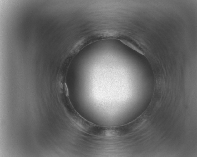 X0000063490264200602031959