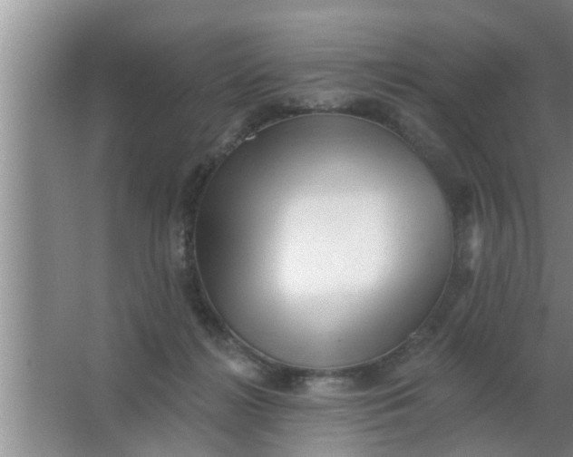 X0000063490268200602031959