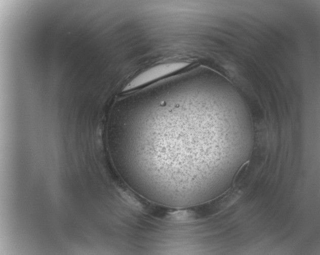 X0000063490269200602031959