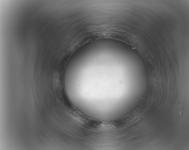 X0000063490270200602031959