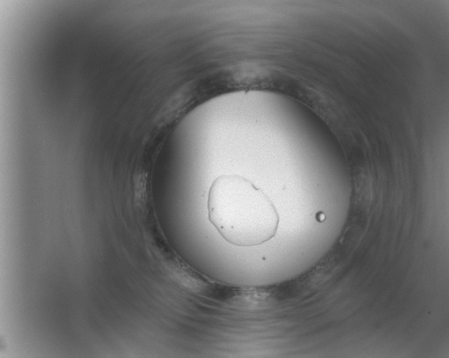 X0000063490278200602031959