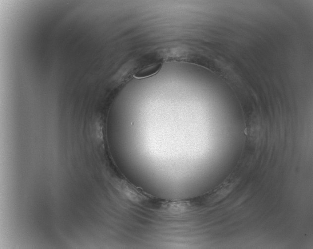 X0000063490282200602031959