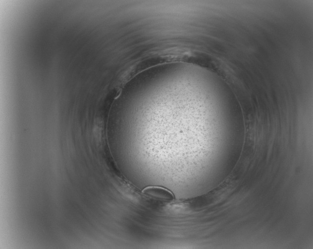 X0000063490283200602031959