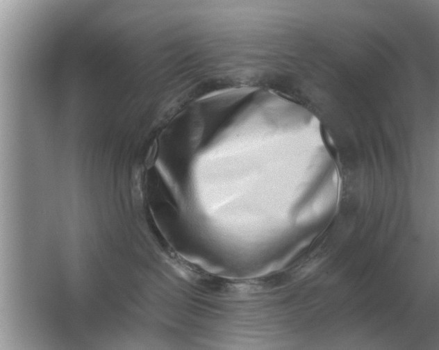 X0000063490286200602031959