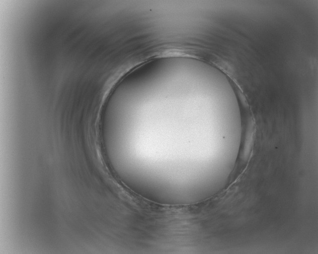 X0000063490289200602031959