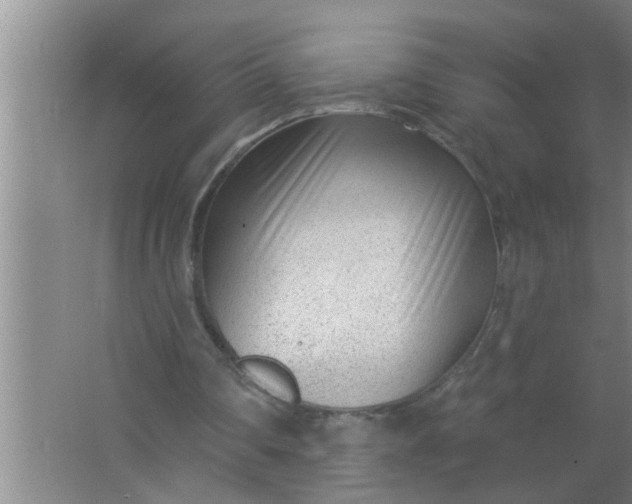 X0000063490290200602031959